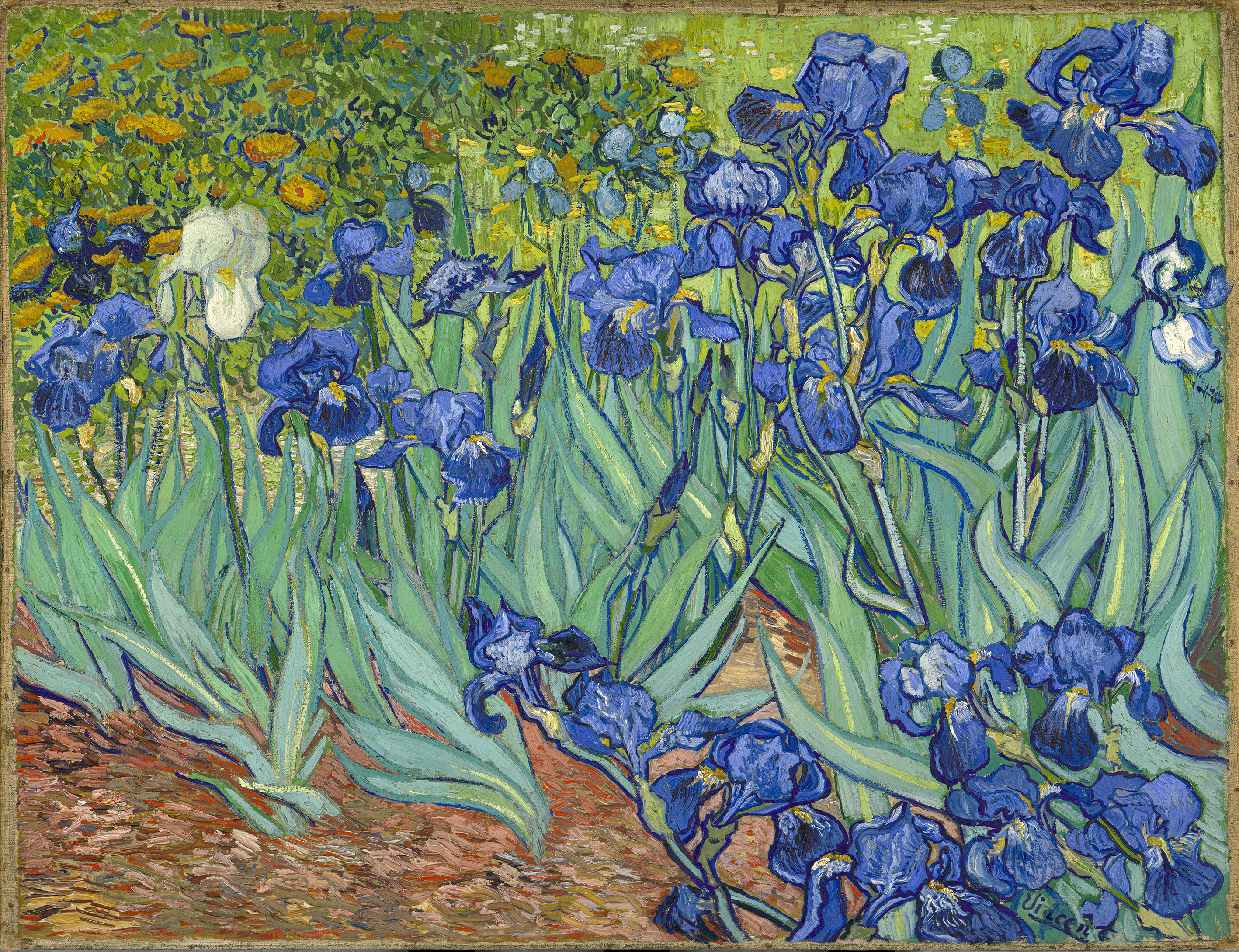 Vincent van gogh suicide painting